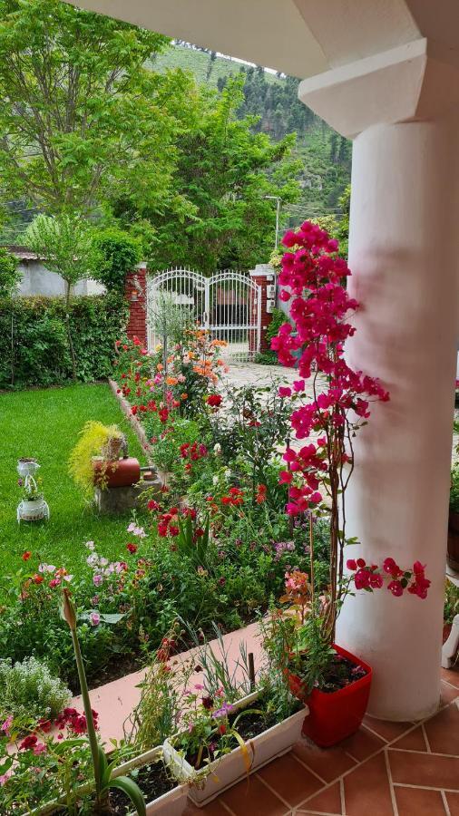 Veranda B&B Berat Kültér fotó